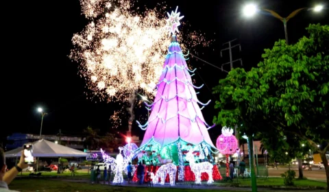 Em Manaus, árvore de 16 metros de altura é inaugurada na bola do Produtor