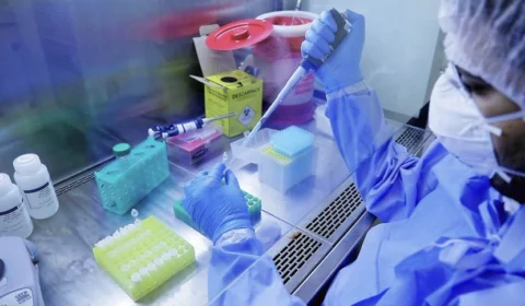 Fiocruz afirma que variante Delta entrou no país pelo menos 27 vezes