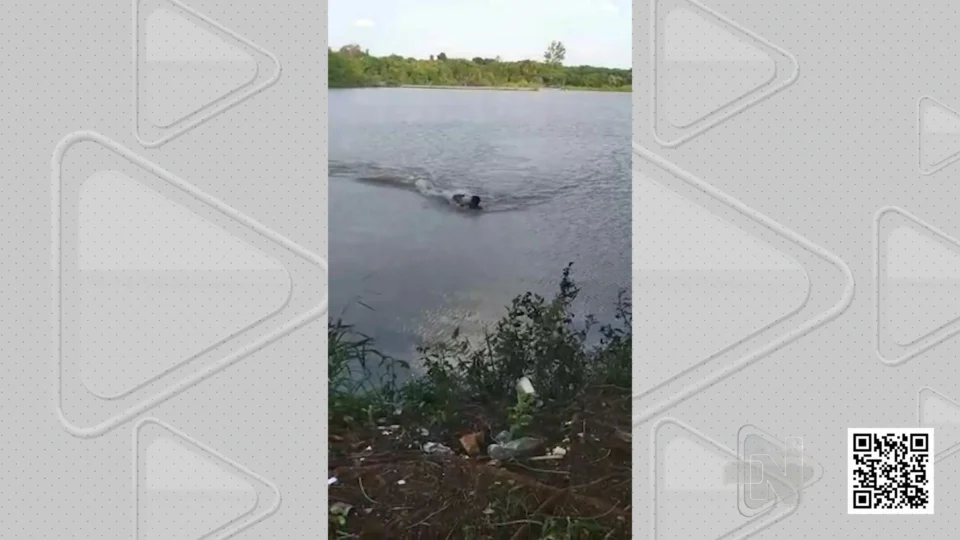 VÍDEO: homem é atacado por jacaré após nadar em lago proibido para banho, em Campo Grande (MS)