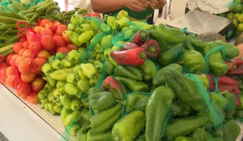 Feira de produtos regionais é inaugurada na Ponta Negra, em Manaus