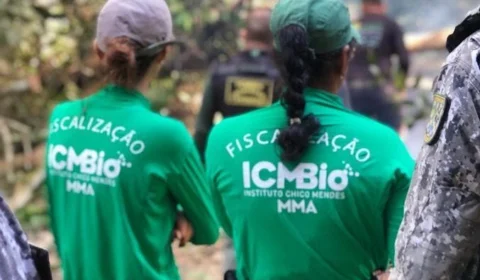 ICMBIO 2021 lança concurso e disponibiliza 34 vagas para o Amazonas