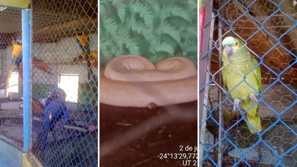 Ibama embarga hotel fazenda em SP por estar em terra indígena