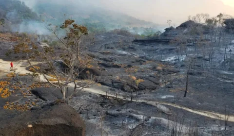 Incêndio no Vale da Lua já percorre 20 km na região dos Veadeiros, em Goiás