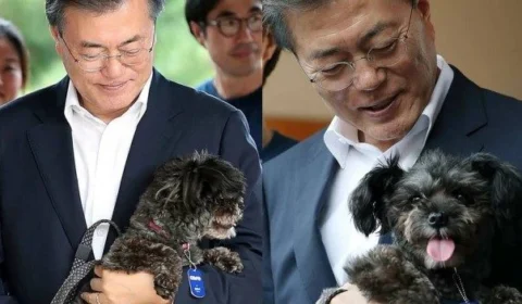 Presidente da Coreia do sul sugere proibição do consumo de cachorros