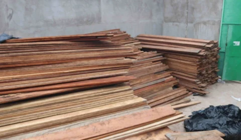 Homem de 24 anos é detido com 70 metros cúbicos de madeira ilegal