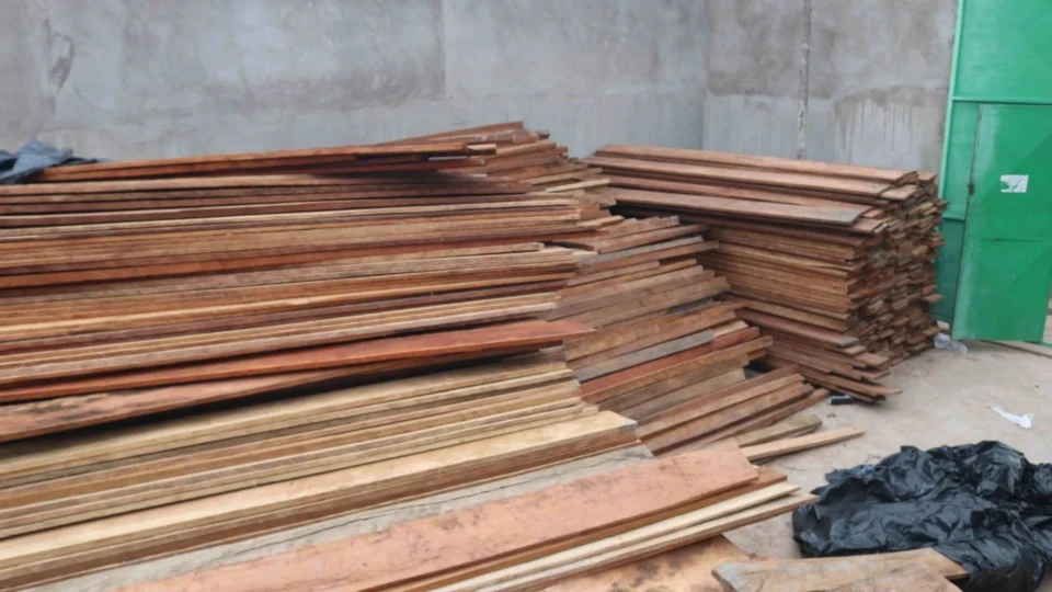 Homem de 24 anos é detido com 70 metros cúbicos de madeira ilegal