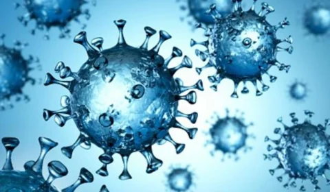 Porto Alegre confirma primeiro caso da variante Ômicron; o 7° caso no Brasil