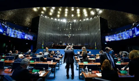 Lei do Mandante é aprovada por unanimidade no Senado