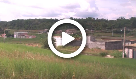 VÍDEO: vendas de terras irregulares crescem a cada ano no município de Iranduba, interior do Amazonas