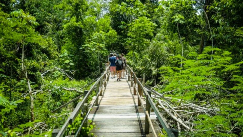 No Amazonas, desmatamento nas Unidades de Conservação tem redução de 7%