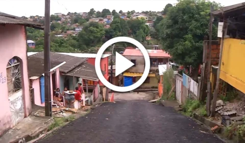 VÍDEO: 77 gatos são resgatados de casa na Zona Leste de Manaus