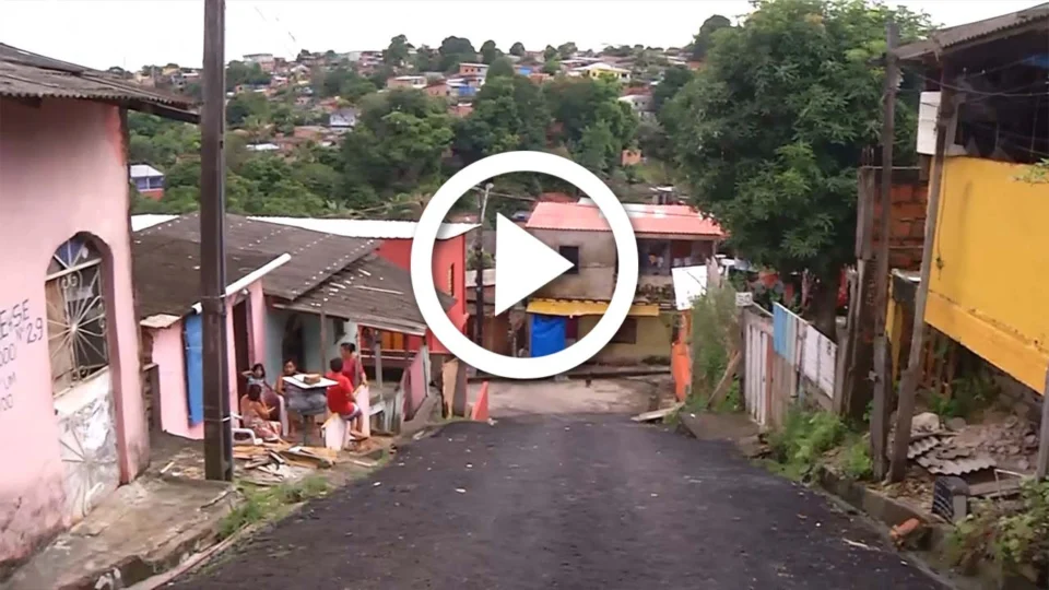 VÍDEO: 77 gatos são resgatados de casa na Zona Leste de Manaus