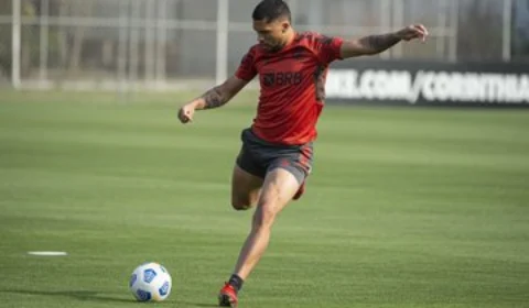 Santos e Flamengo se enfrentam neste sábado pelo campeonato brasileiro