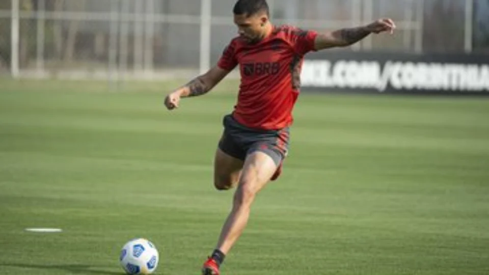 Santos e Flamengo se enfrentam neste sábado pelo campeonato brasileiro