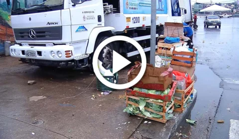 VÍDEO: a fome tem levado pessoas a procurarem alimentos no lixo