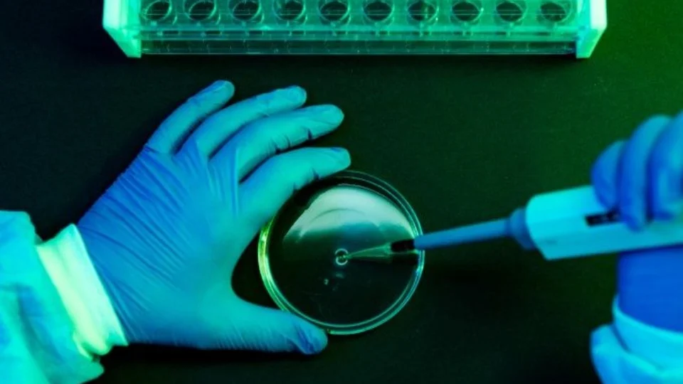 Ministério da Saúde identifica três casos da subvariante da ômicron BA.2 no Brasil