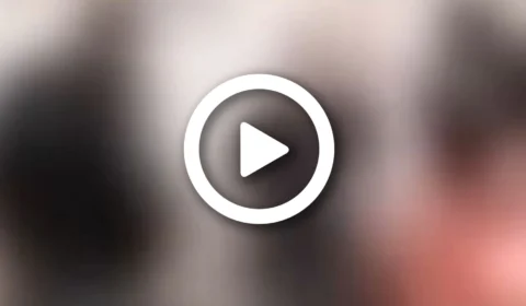 VÍDEO: em Manaus, suposto Coronel tenta fechar bar após ser chamado atenção por mexer com mulher casada