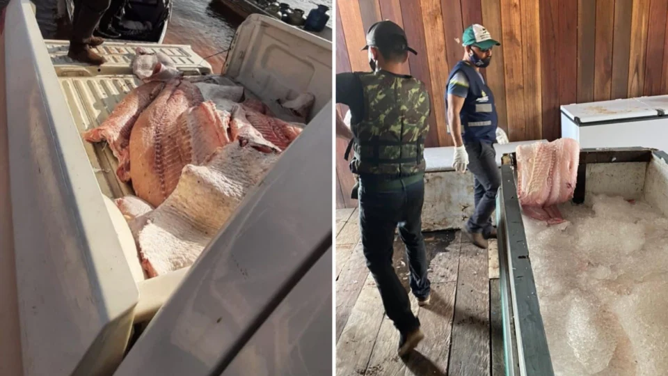 Mais de 370 quilos de peixes são apreendidos em Manacapuru-AM