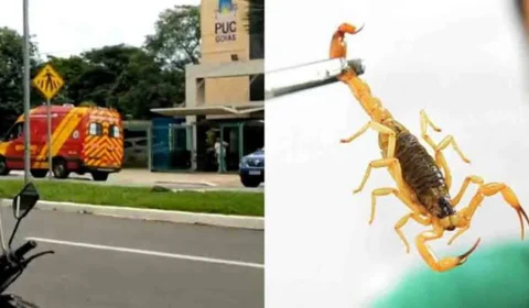 Estudante é picado por escorpião em 2º dia da prova do Enem em Goiás