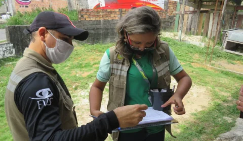 Ovos de mosquito fêmea estão sendo usados como armadilha no combate do Aedes aegypti em Manaus