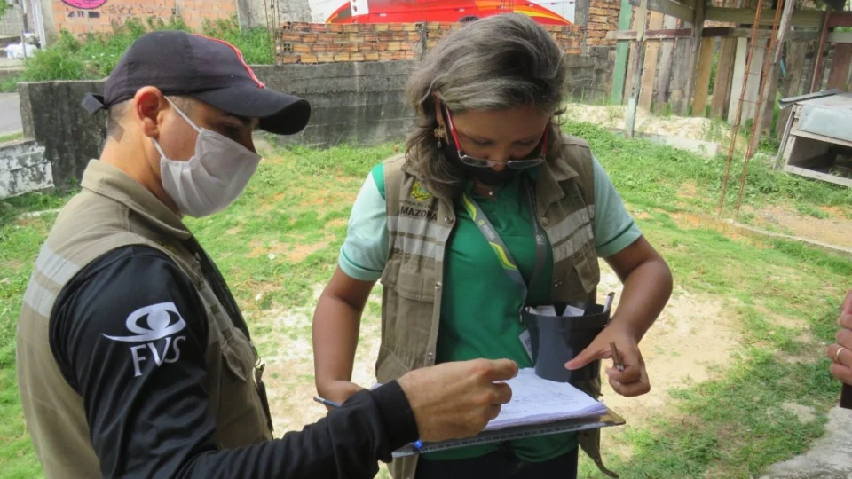 Ovos de mosquito fêmea estão sendo usados como armadilha no combate do Aedes aegypti em Manaus