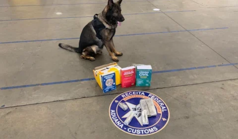 Mais de 1Kg de Skunk é encontrado dentro de encomendas nos Correios em Manaus