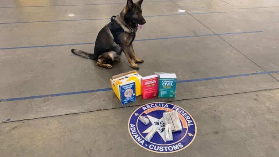 Mais de 1Kg de Skunk é encontrado dentro de encomendas nos Correios em Manaus