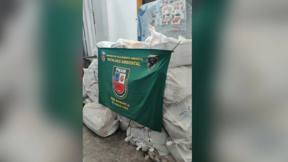Depósito clandestino de pescado é fechado no bairro Nossa Senhora das Graças, em Manaus
