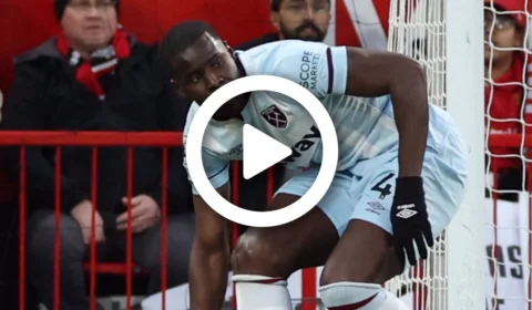 VÍDEO: jogador de 27 anos aparece em vídeo maltratando gato com tapas e chutes