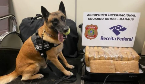 Receita Federal apreende 12 tabletes de maconha tipo shunk no Aeroporto de Manaus