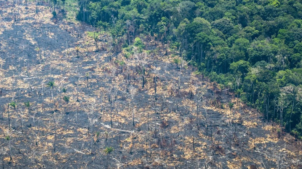 Desmatamento na Amazônia cresce 39% em 2021; é o maior dos últimos 10 anos, diz Imazon
