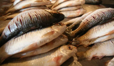 Sobe para 51 número de casos da ‘urina preta’ no Amazonas