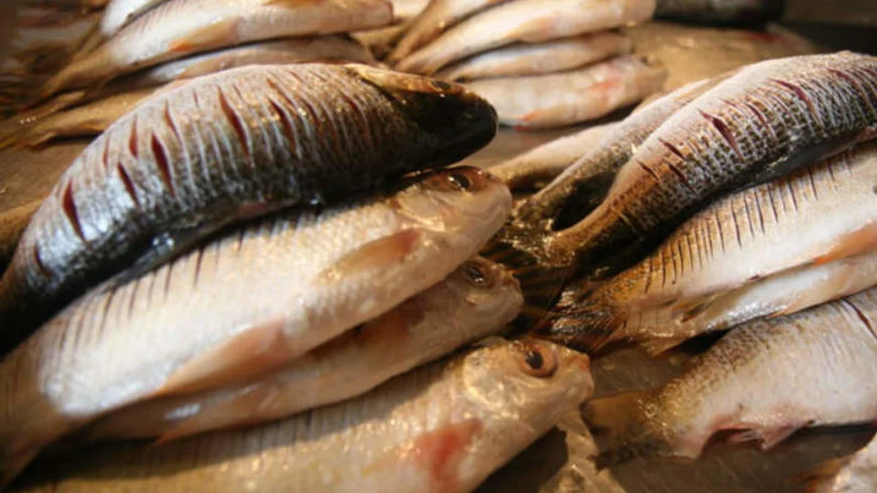 Sobe para 51 número de casos da ‘urina preta’ no Amazonas