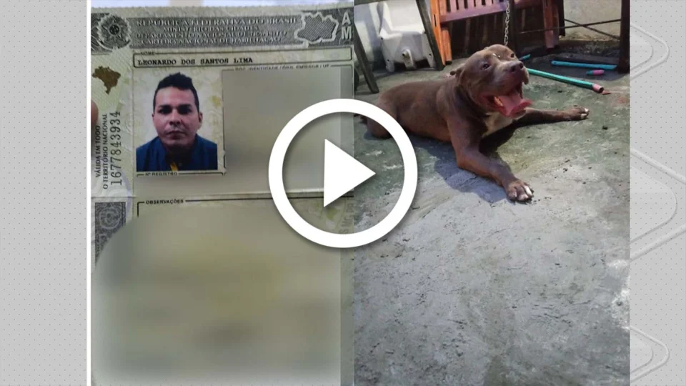 VÍDEO: idosa é atacada por cão na Zona Norte de Manaus