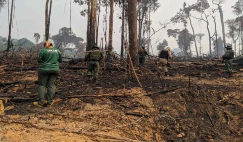 Áreas com registros de desmatamento e queimadas são fiscalizadas no Sul do Amazonas