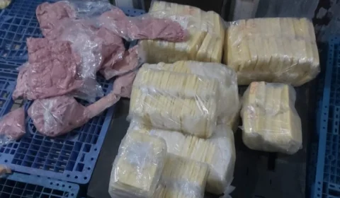 Presuntos, queijos e peitos de peru fora de validade são apreendidos em comércio clandestino na Zona Oeste de Manaus