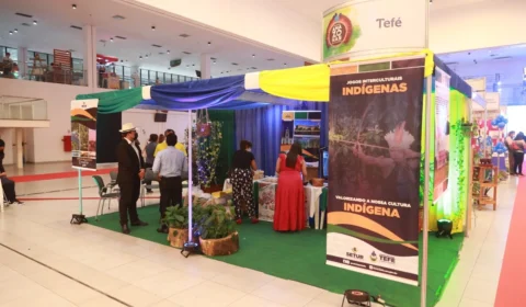 1° Festival Amazonas de Turismo une negócio e cultura neste final de semana no Vasco Vasques