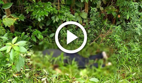 VÍDEO: corpo é encontrado no bairro Tarumã em Manaus