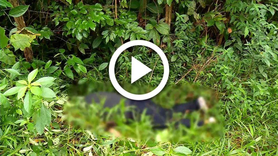 VÍDEO: corpo é encontrado no bairro Tarumã em Manaus