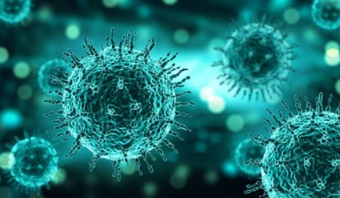 Amazonas acumula 13.554 mortes por Covid-19 desde o início da pandemia