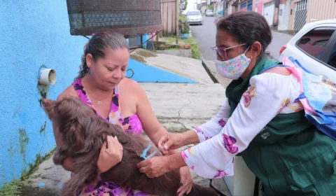 CCZ realiza vacinação antirrábica em domicílios da Zona Norte de Manaus