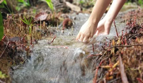 Audiência Pública debate plano estratégico para resolver problemas hídricos no AM