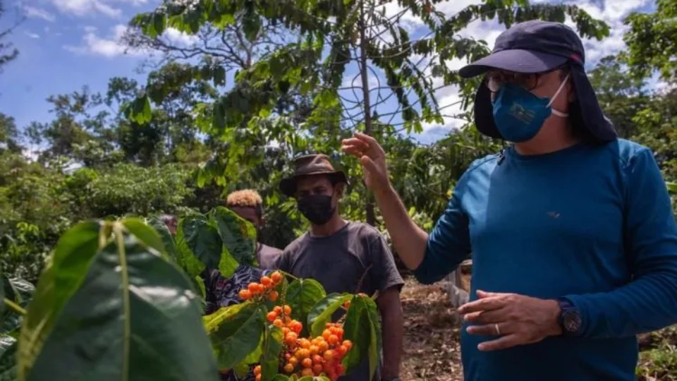 Programa Olhos da Floresta no Amazonas tem ampliação em 16 municípios