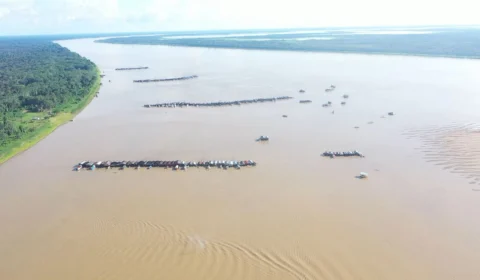 Garimpo no Madeira: minamata, mercurialismo, paralisia; veja doenças e problemas que garimpo ilegal causam à saúde