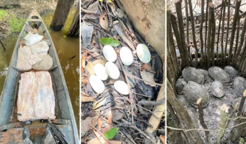 Base Arpão apreende mais de 80 quilos de carne de jacaré e 200 quilos de pirarucu