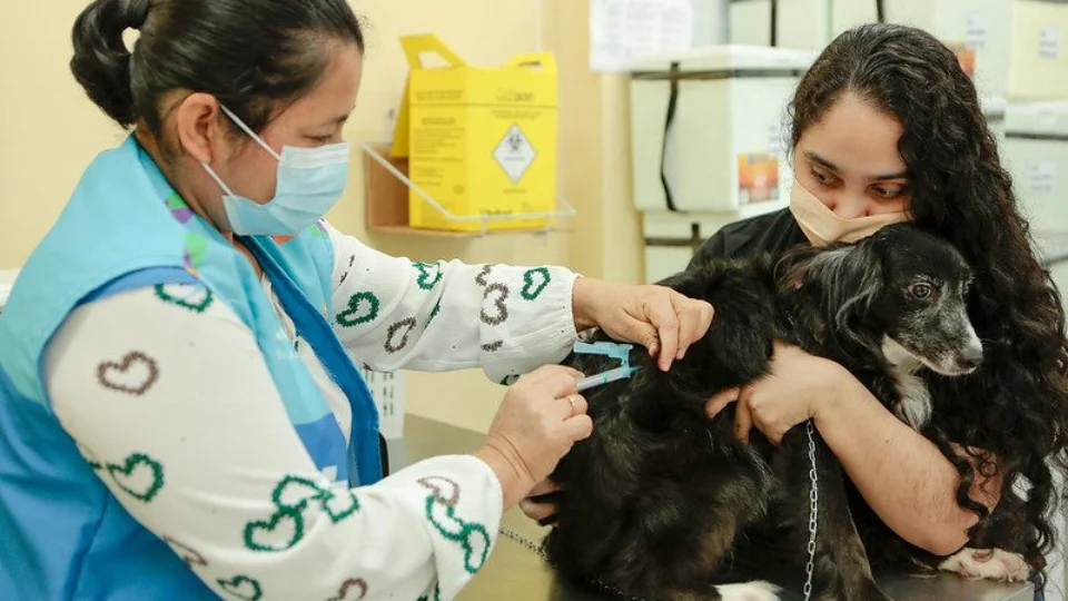Centro de Zoonoses divulga cronograma semanal de vacinação para cães e gatos