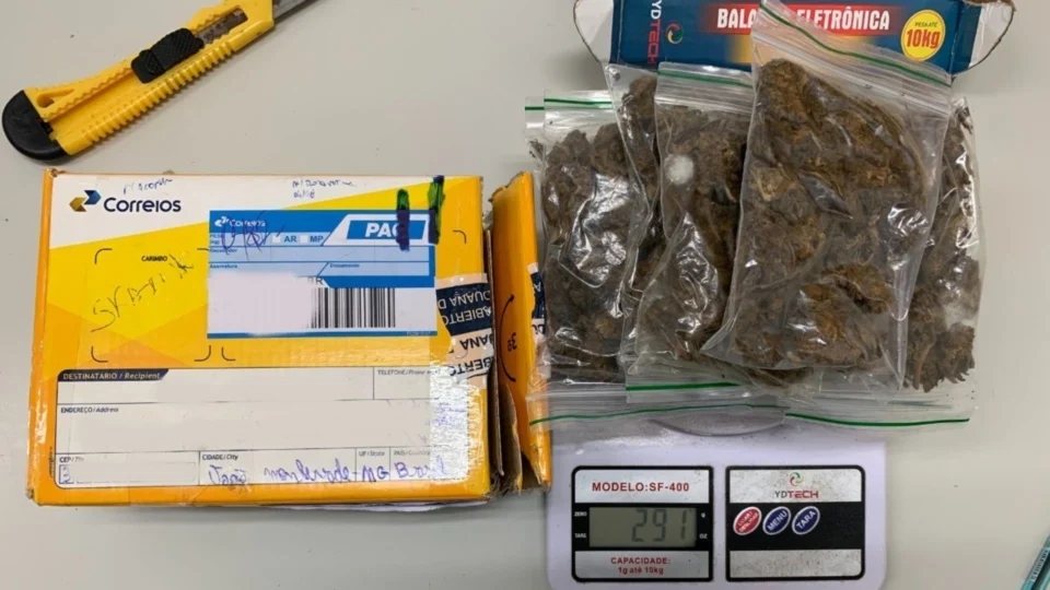 Drogas ‘camufladas’ em tênis, celulares e chuveiro são encontradas em Manaus; veja fotos