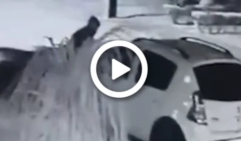 VÍDEO: personal trainer agride morador de rua após flagrar traição de mulher, em Brasília