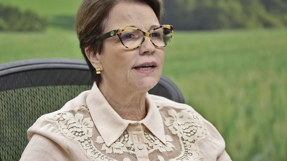 País pode ser principal player para investimentos verdes, diz ministra