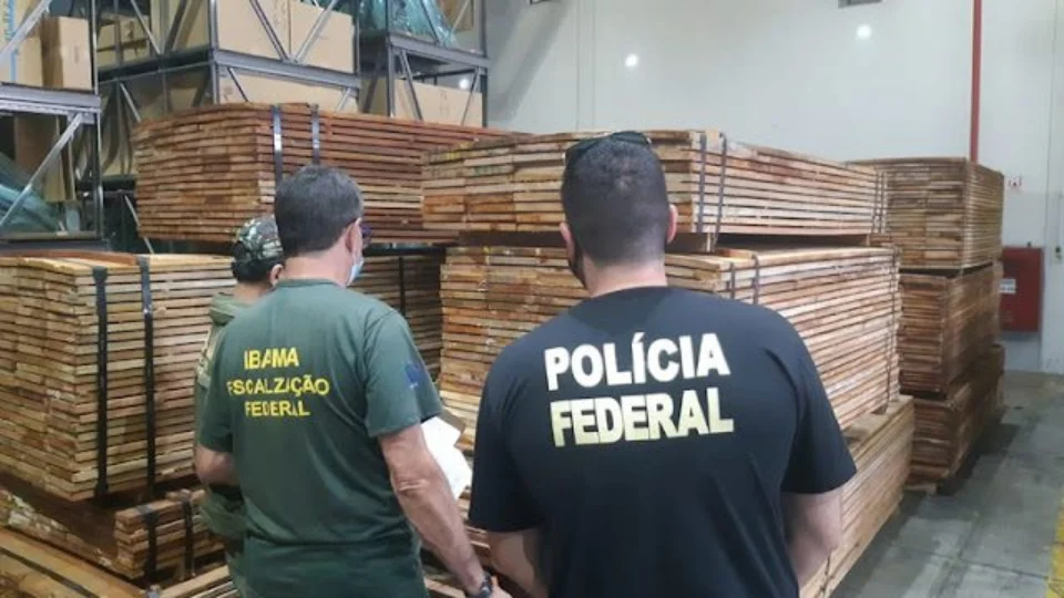 PF usa software para identificar madeira ilegal no Porto de Manaus
